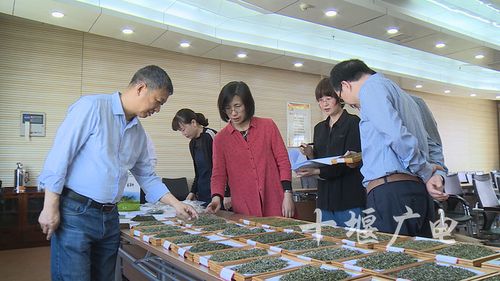 市农业农村局组织开展全市茶产叶评比暨产品展示活动